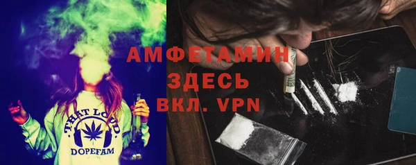 гидра Аркадак