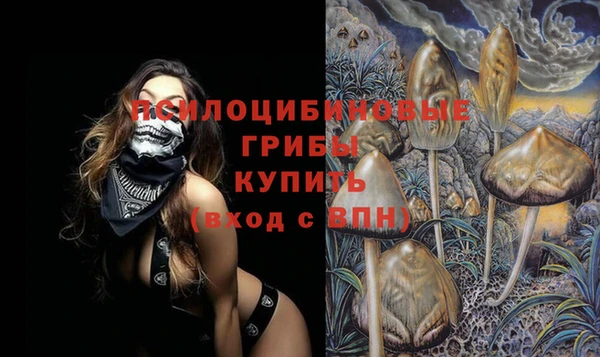 метадон Армянск