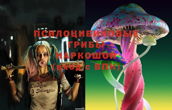 гидра Аркадак