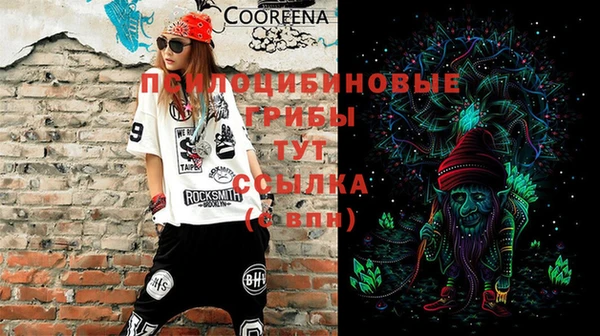 эйфоретик Арсеньев