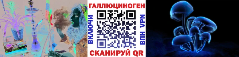Псилоцибиновые грибы Psilocybe  Артёмовский 